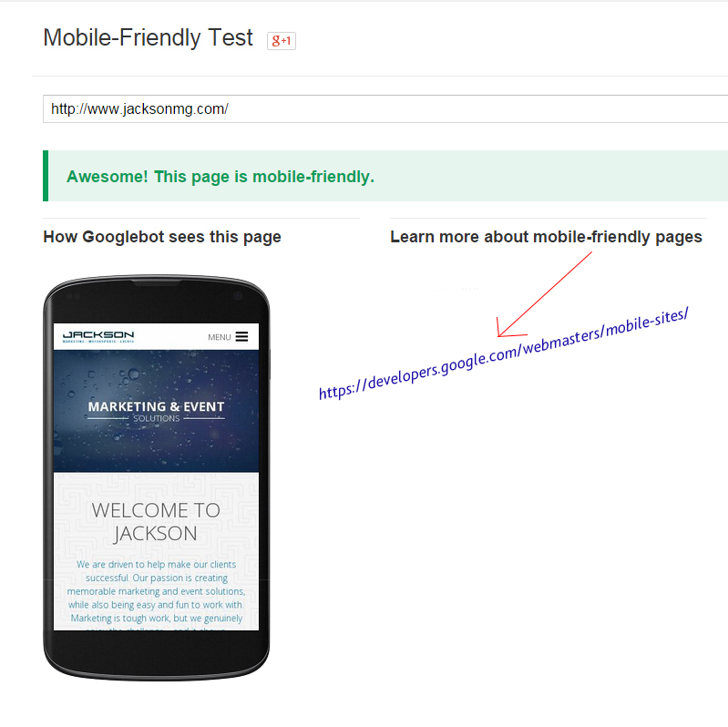 Example of Google's Mobile-friendly test